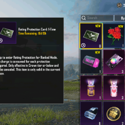 LvL49 | 31 Sets | 8 Halmets | 7 Backpacks | P35 4